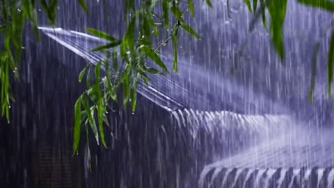 🌧️ Rainy Nng, Studying, or Sleepingain Sounds for Relaxing, Studying, or Sleeping