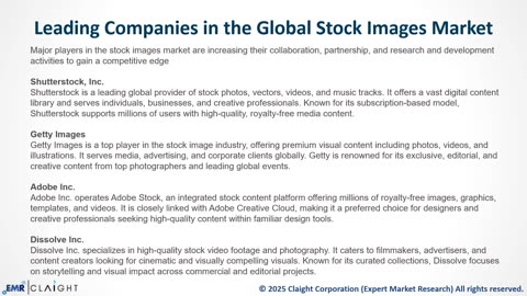 Stock Images Market: USD 6.73 Billion in 2024 to USD 11.98 Billion by 2034 – Trends & Forecast