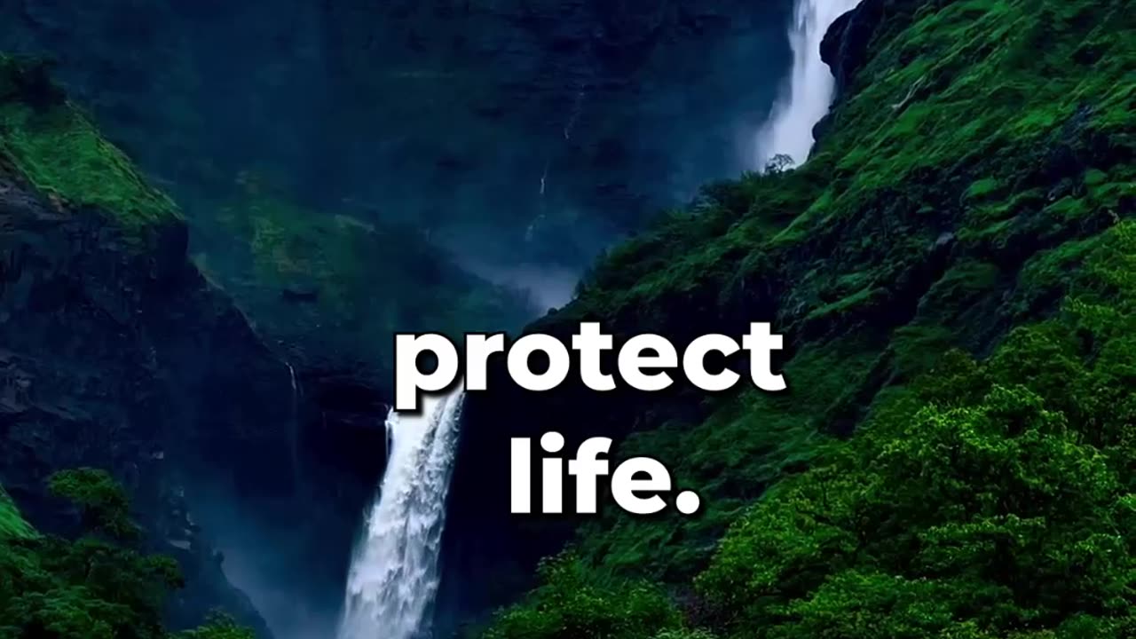 Water: A Gift We’re Throwing Away