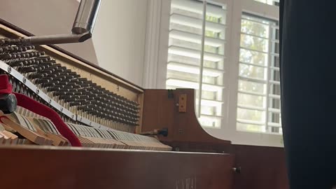 Saturday tuning #shorts #pianotechnician