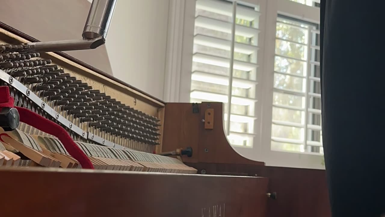 Saturday tuning #shorts #pianotechnician