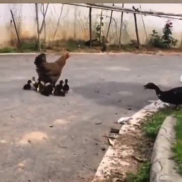 if you don’t want to be replaced, don’t be replaceable