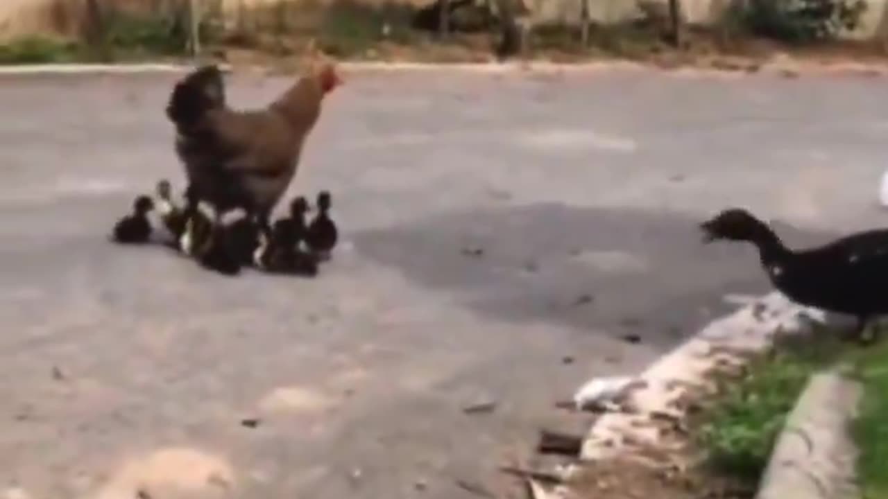 if you don’t want to be replaced, don’t be replaceable