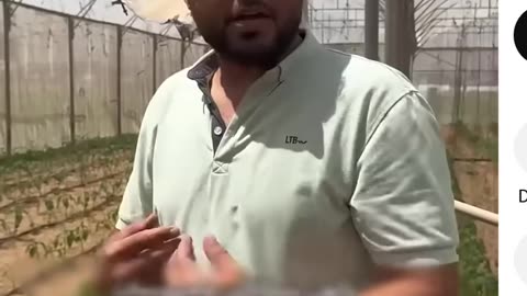 PALESTINE