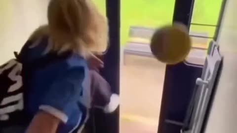 funnyvideosdaily