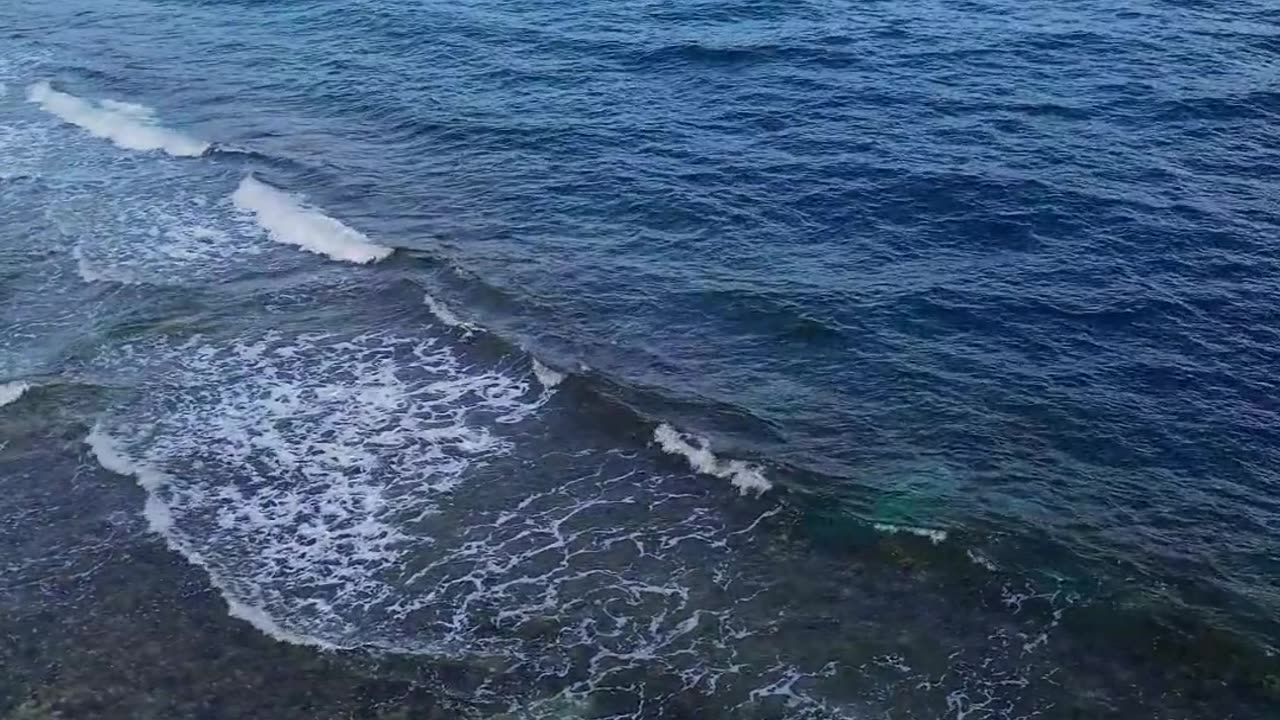 Top 3 Marine Experiences in Djibouti