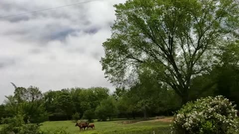 The Cars MOVING IN STEREO music video