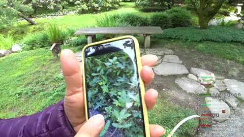 [5/13/22] Japanese Gardens w/ Parents