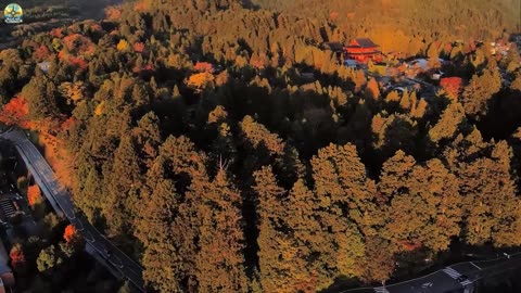 日本を歩 Đi bộ Nhật Bản 4 14092025