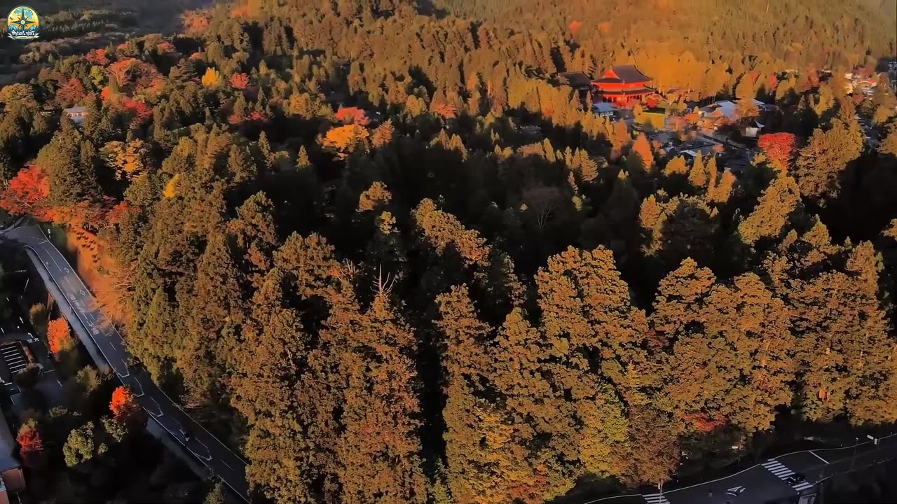 日本を歩 Đi bộ Nhật Bản 4 14092025