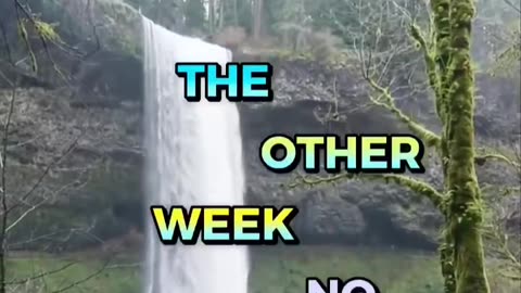 A thief gets flashbanged