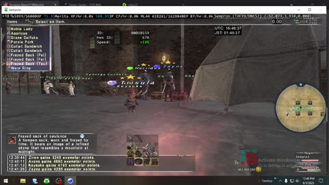 Playing Final Fantasy XI Online