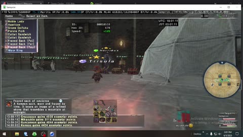 Playing Final Fantasy XI Online