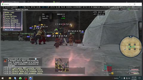 Playing Final Fantasy XI Online