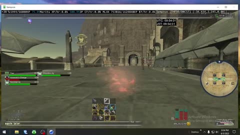 Playing Final Fantasy XI Online