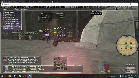 Playing Final Fantasy XI Online