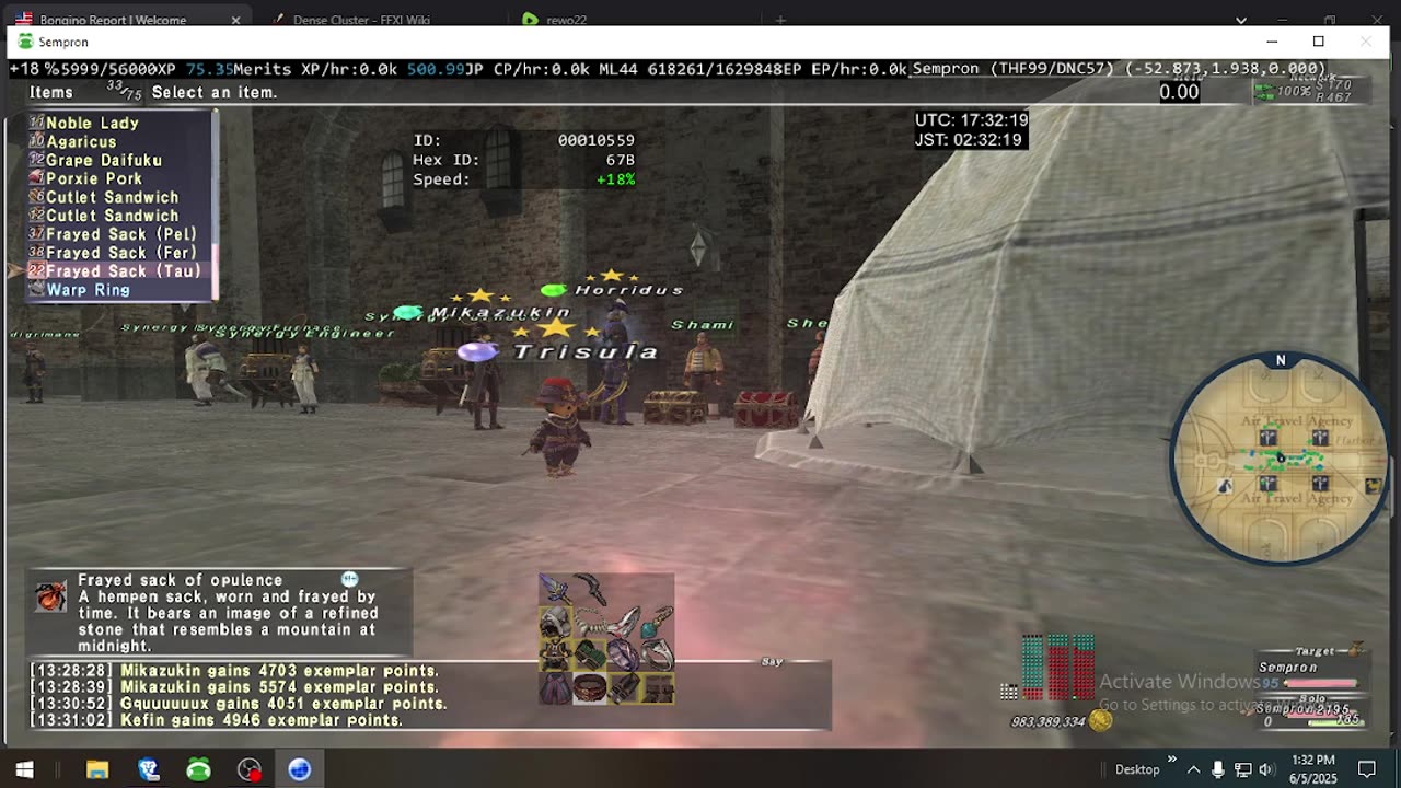 Playing Final Fantasy XI Online