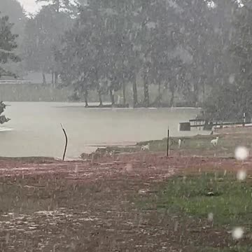 OMG, we screwed up really bad this time!!!!