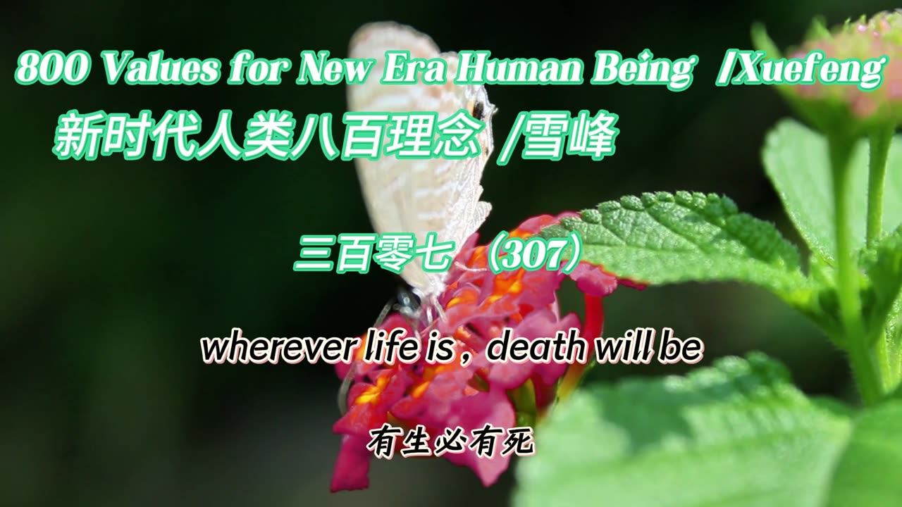 800 Values for New Era Human Being（307）