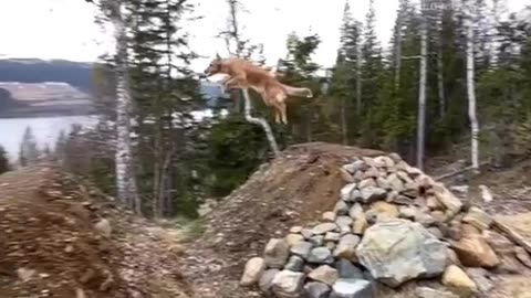 True freedom
