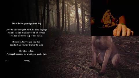 Blair Witch: Blooders Horror Movie Adaptation Attempt