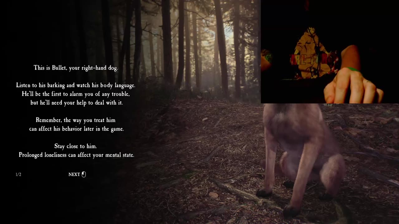 Blair Witch: Blooders Horror Movie Adaptation Attempt