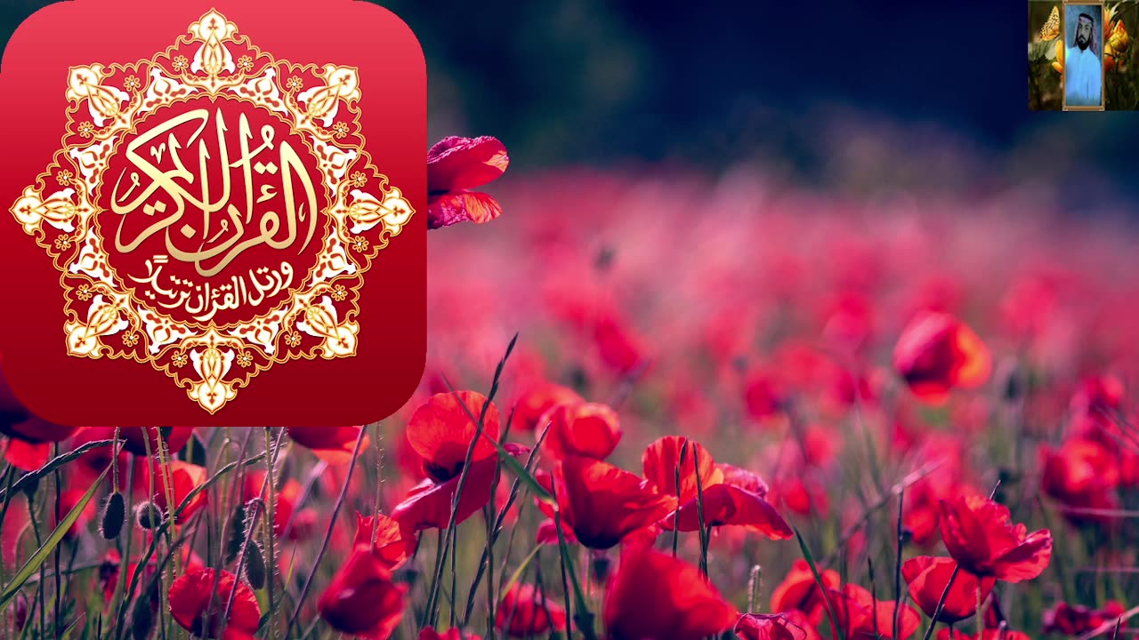 تلاوة تهز القلوب وتبكي القلوب ابداع القران الكريم