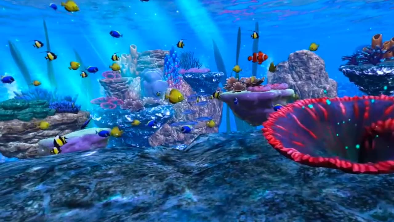 360 VR - 'Underwater Universe -