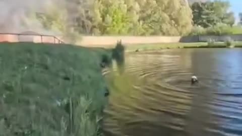 Ukraine war combat footage 9/22/25