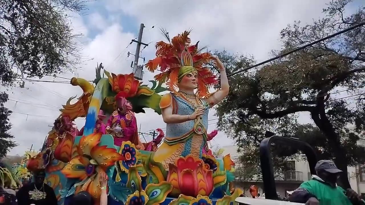 Rex Parade 2025