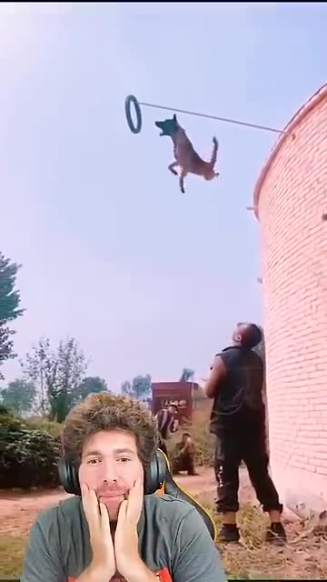 THE FLYING DOG!! 😱🐶 reaction video