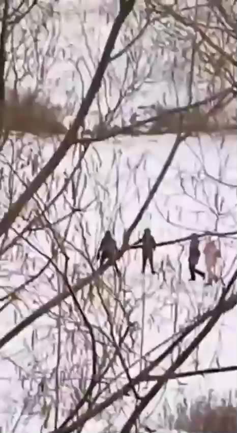 Children test the ice for strength