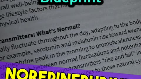 Day 42 – Mood Rhythms & Neurochemical Cycles