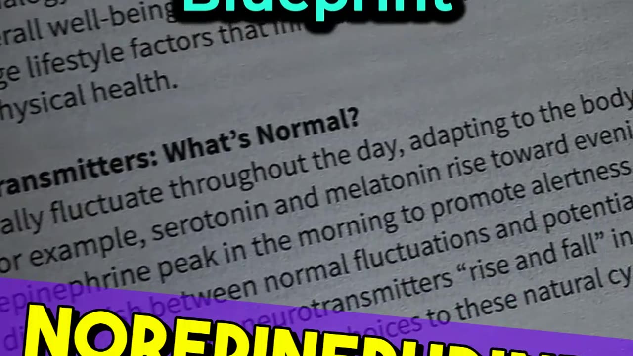 Day 42 – Mood Rhythms & Neurochemical Cycles