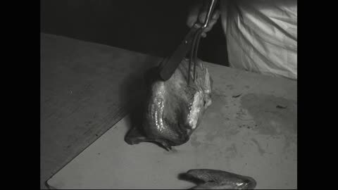 Thanksgiving Upside Down Turkeys and Navy Cooks