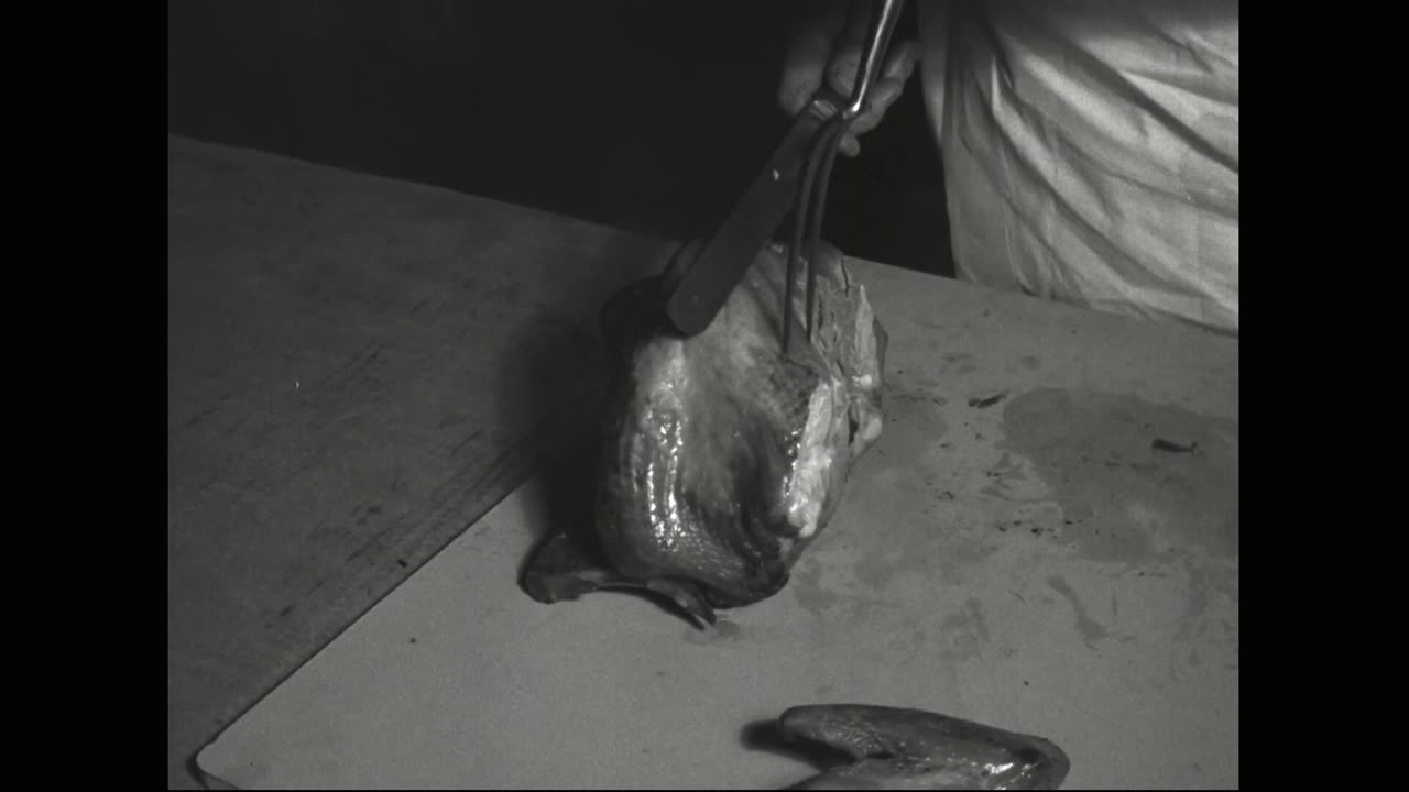 Thanksgiving Upside Down Turkeys and Navy Cooks