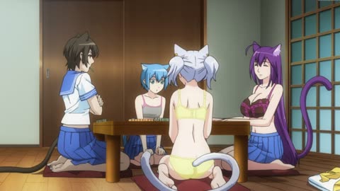 Anime Cat Planet Cuties -When cat people play a strip game