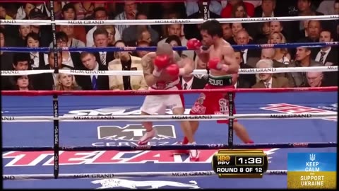 It SHOCKED Hollywood! Manny Pacquiao vs Miguel Cotto | BOXING Highlights 2009