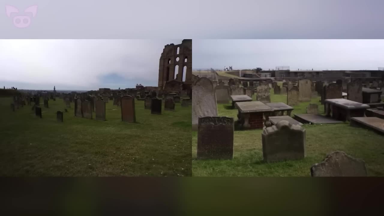 Ghostly Figure Seen in Cemetery. 👤 - Slapped Ham Shorts