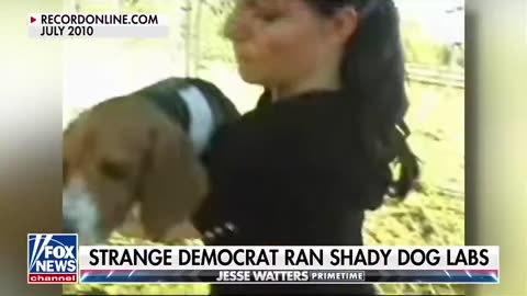 Democrat lawmaker tries to impeach Trump, now accused of fraud and animal abuse