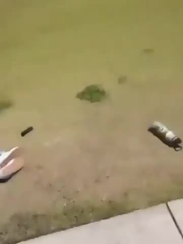 Victim On Grass, Unblurred Version. FSU Shooting Hoax