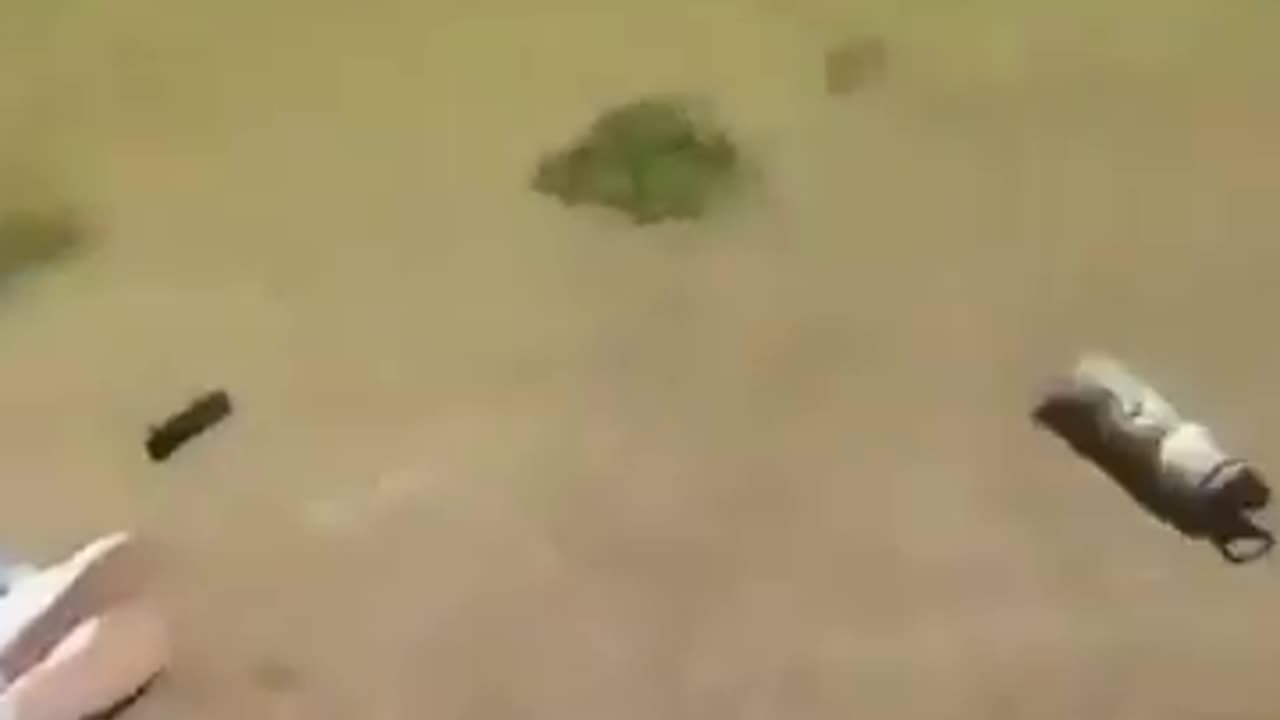 Victim On Grass, Unblurred Version. FSU Shooting Hoax