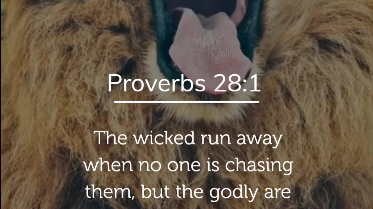 Proverbs 28:1