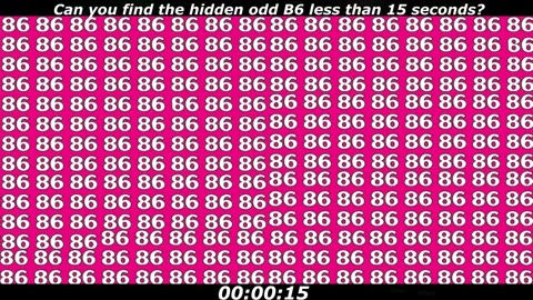 Odd B6 puzzle: Can you find the hidden odd B6 less than 15 seconds?