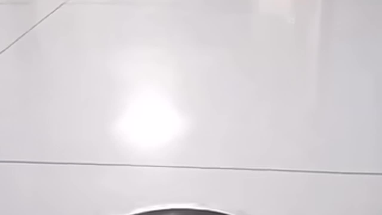 Laughing with animals