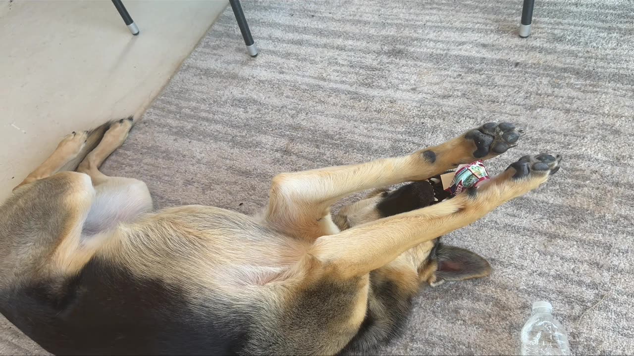 She was in her own world...