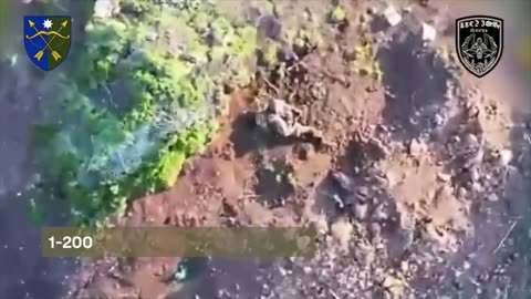 Ukrainian UAV operators eliminate Russian infantry near Dniproenerhiya, Donetsk region