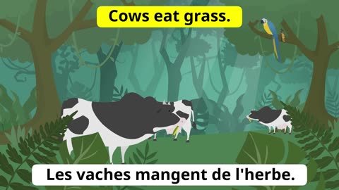 Apprendre L'anglais ✪ Phrases - Verbes - Adjectifs - Test + 🔴 En Direct