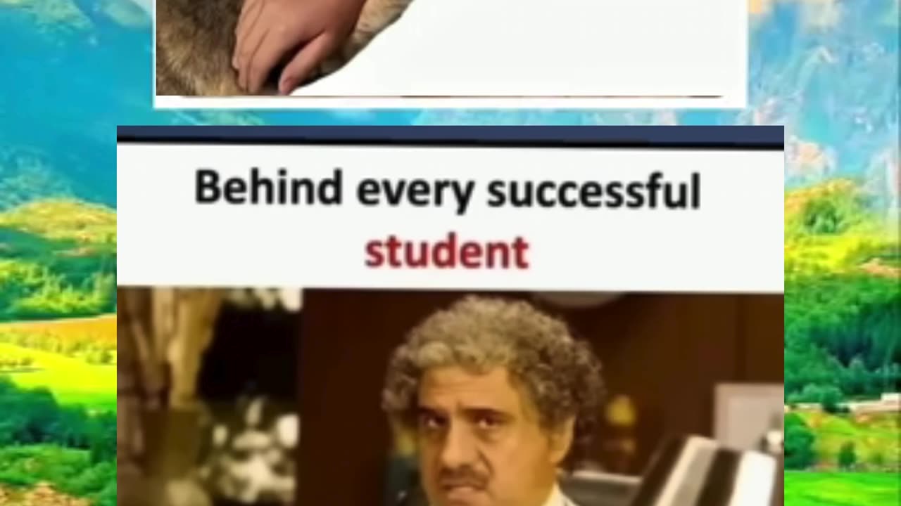 Memes of the day | funny memes | #funny