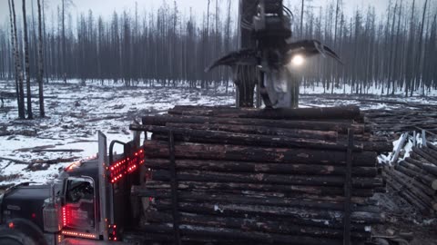 LEARN From The BEST: A 30 Year Log Hauling Veteran Makes Every Day Look Easy! PART 1 (of 2) #logging